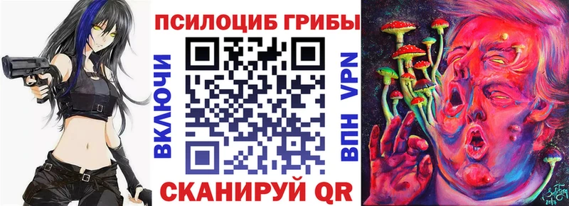 купить наркоту Белоозёрский Галлюциногенные грибы MAGIC MUSHROOMS